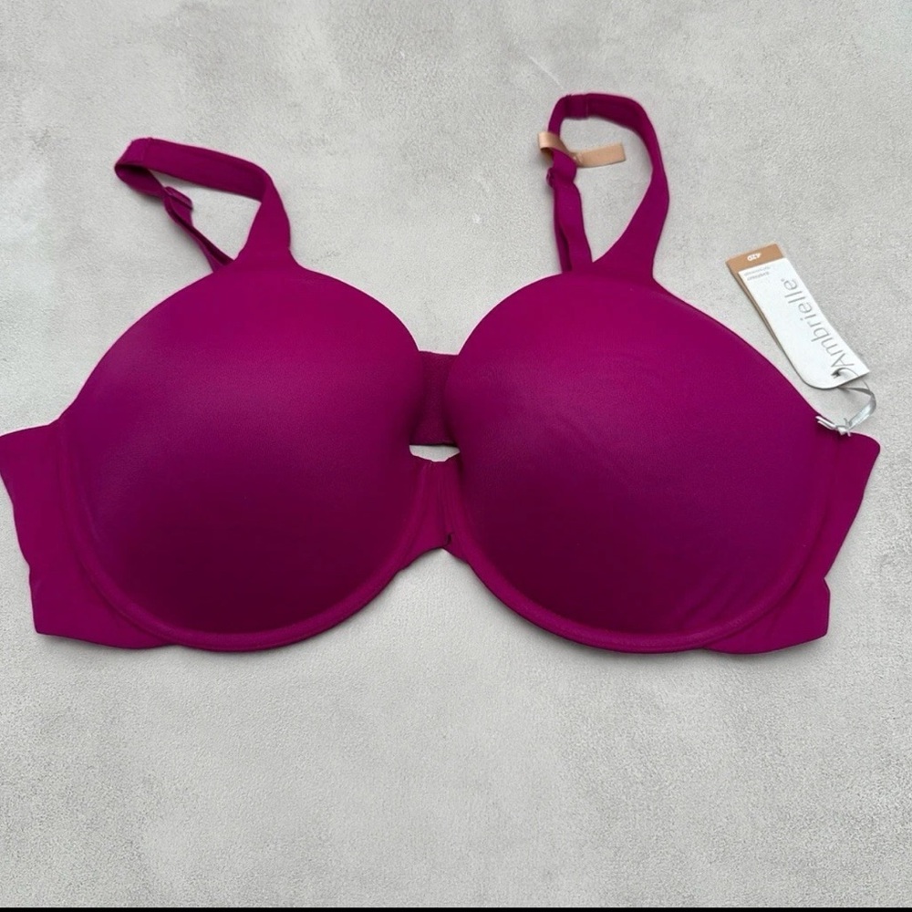 Pink Full Coverage T-Shirt Bra Smooth Cups Racerback 42D Ambrielle NWT